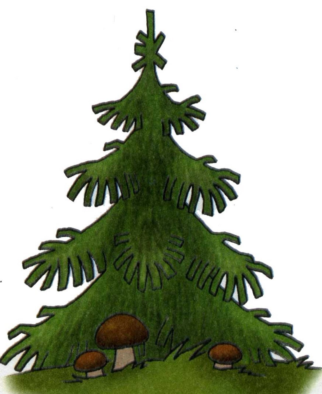 Елка рисунок