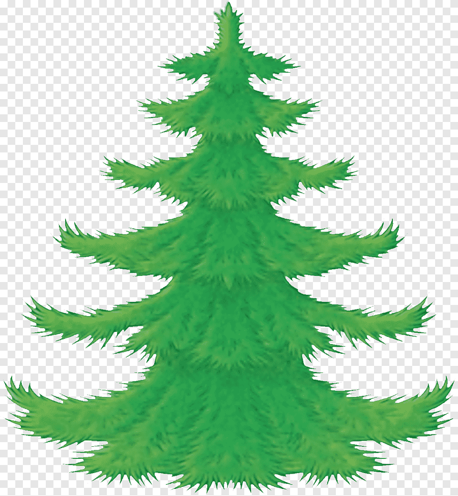 Картинка ель для детей в детском саду