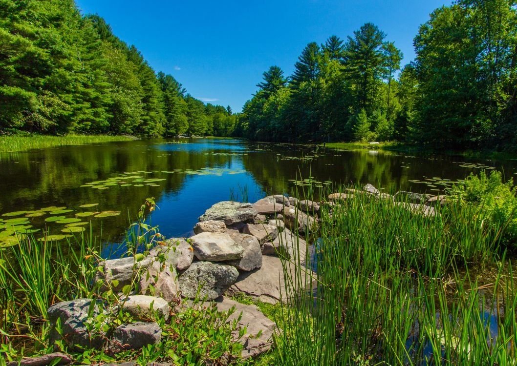 Хадыженское Лесное озеро