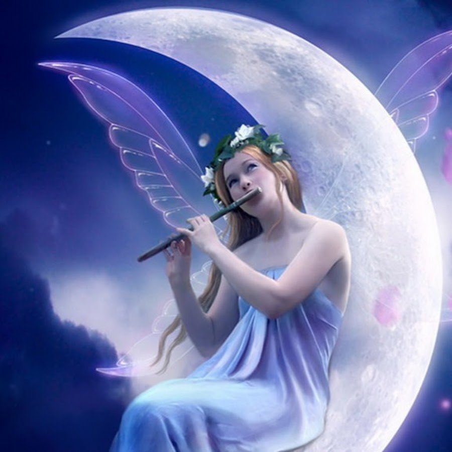 Светлана Лазарева Фея сна