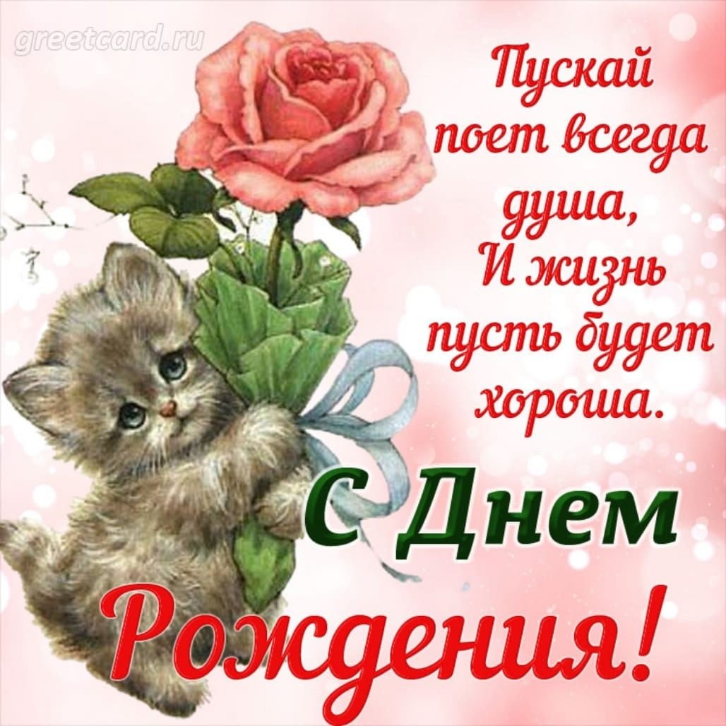 Пудровые розы и пионы