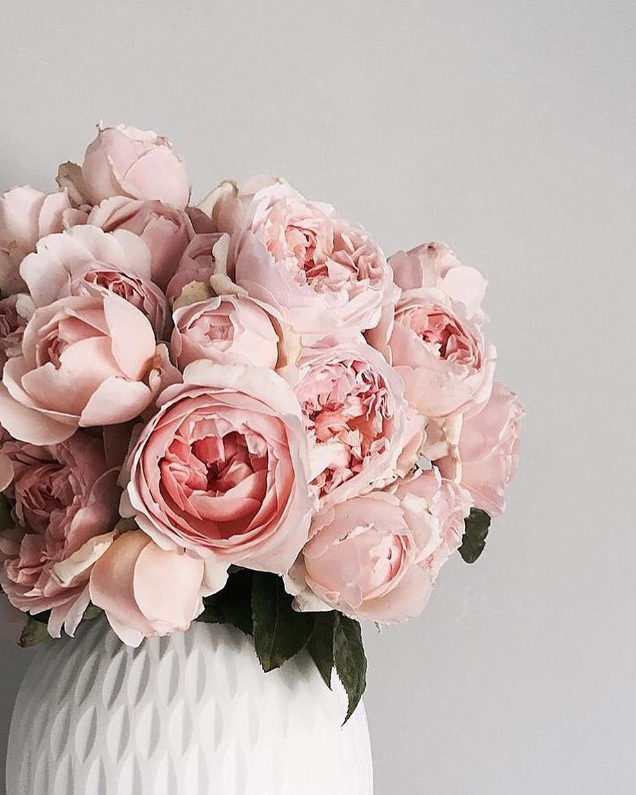 С днем рождения