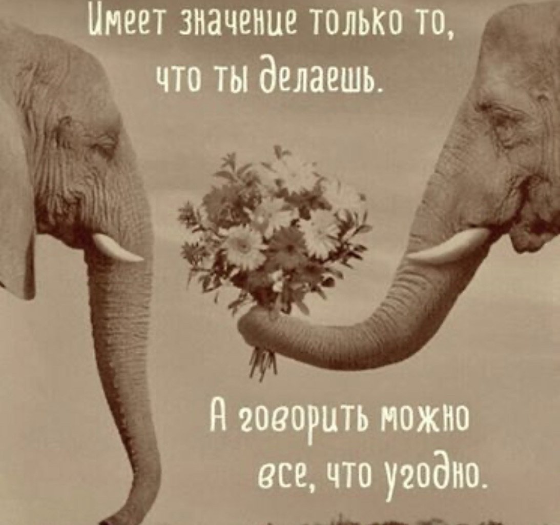 Прекрасно просто прекрасно анекдот