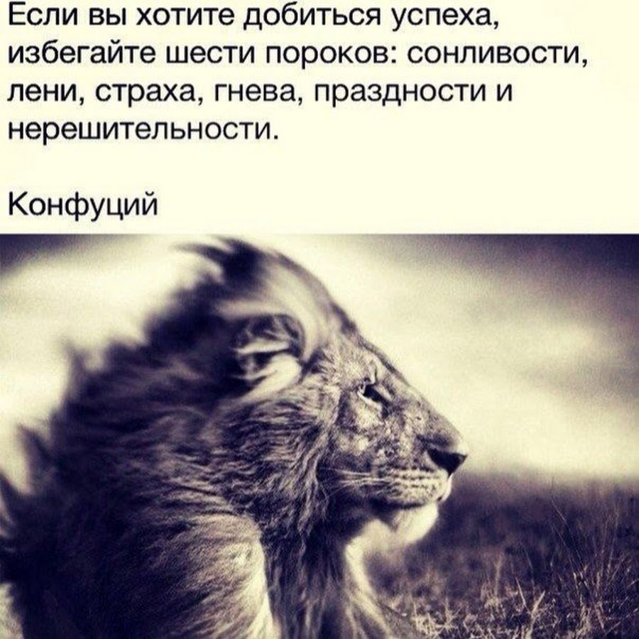 Мотивирующие высказывания