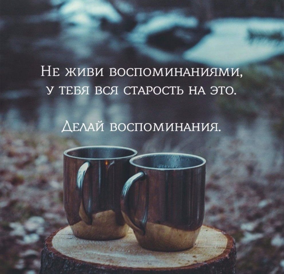 Мудрые цитаты с юмором