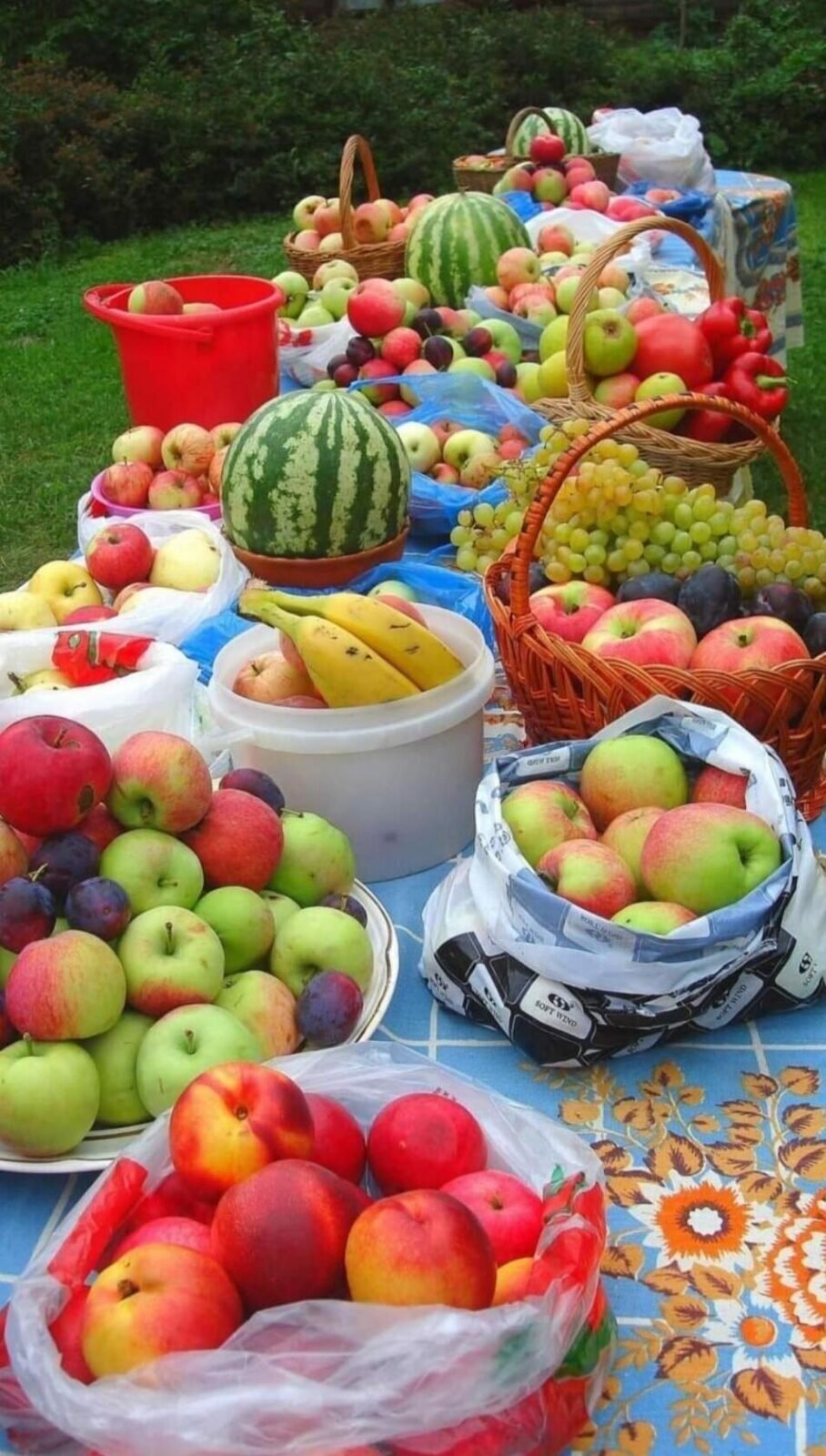 Огород для детей