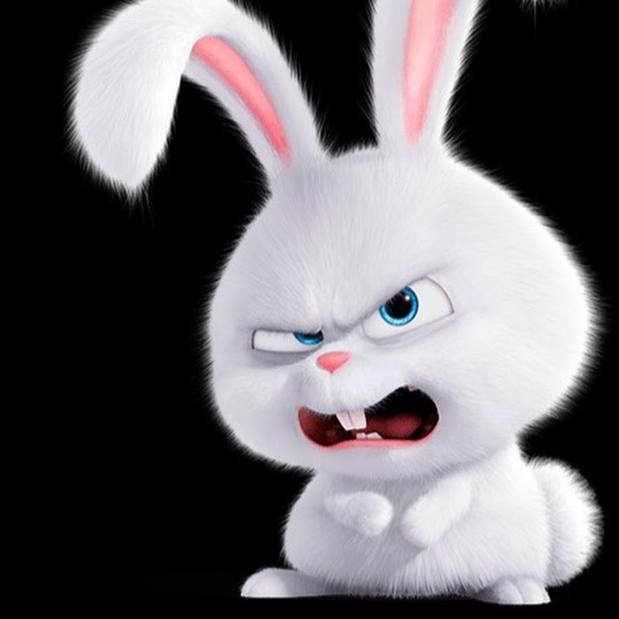 Злобный зайчик