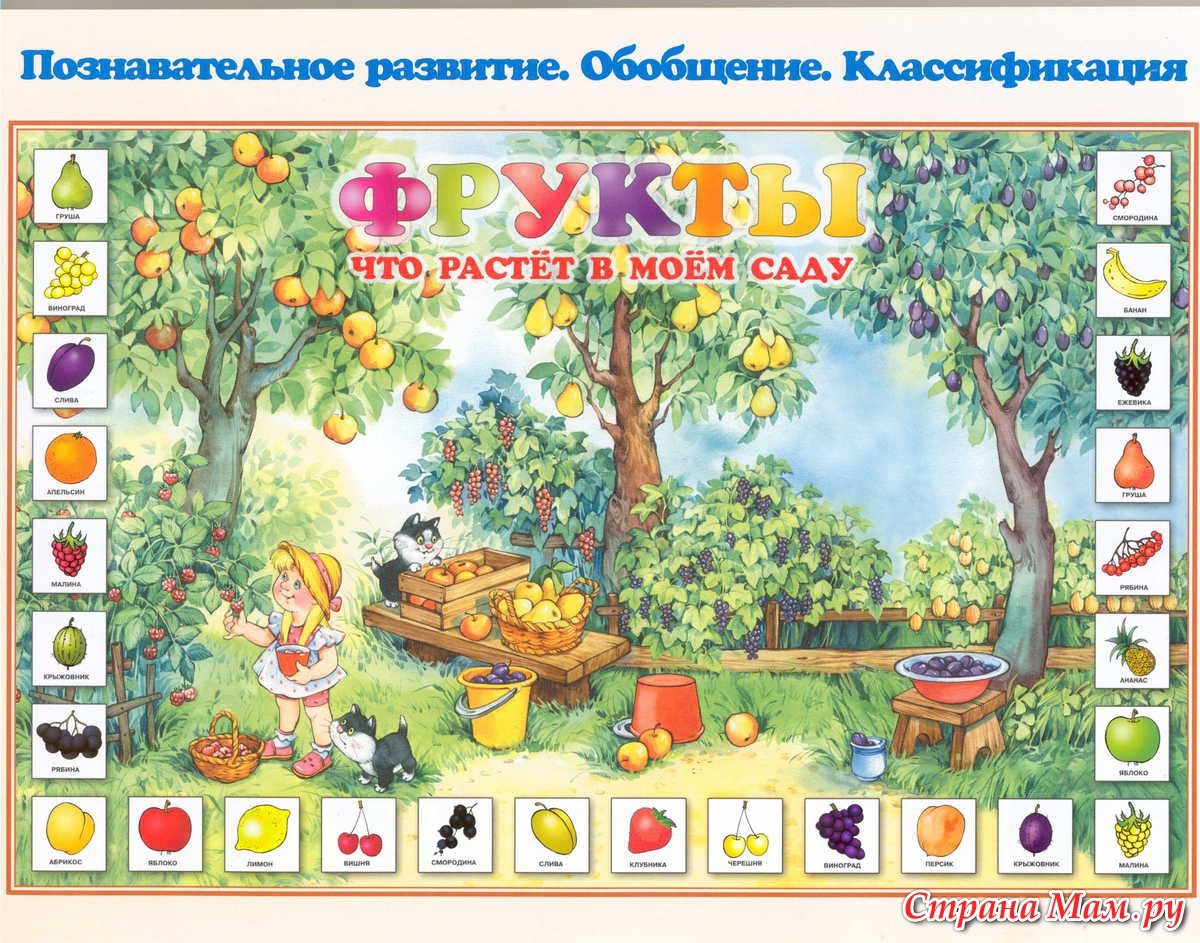 Что растет в саду