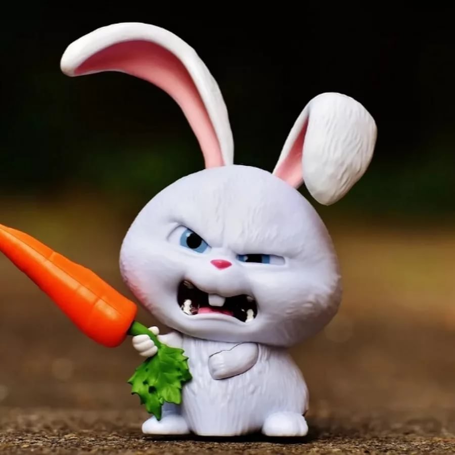 Тайная жизнь домашних животных кролик снежок