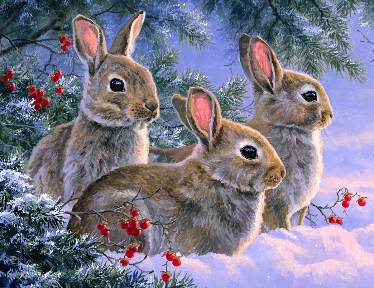 Заяц зимой живопись