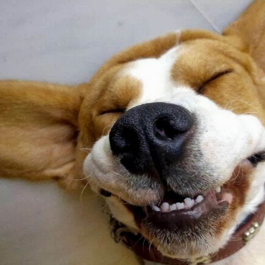 С добрым утром прикол