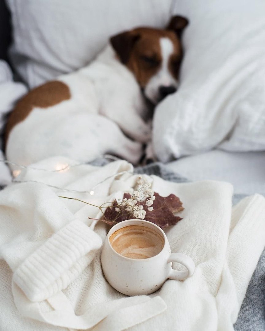 Доброе утро смешные