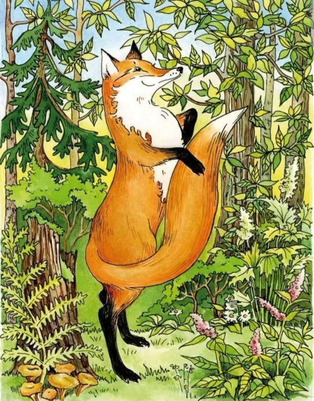 Лиса рисунок для детей