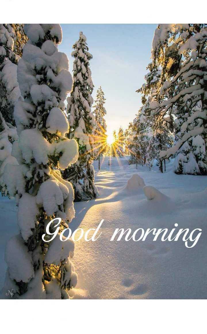 Шикарные зимние пейзажи