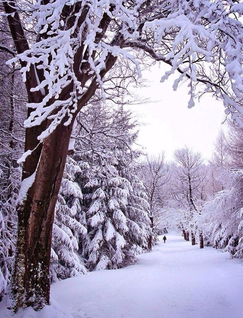 Яркое солнце зимой