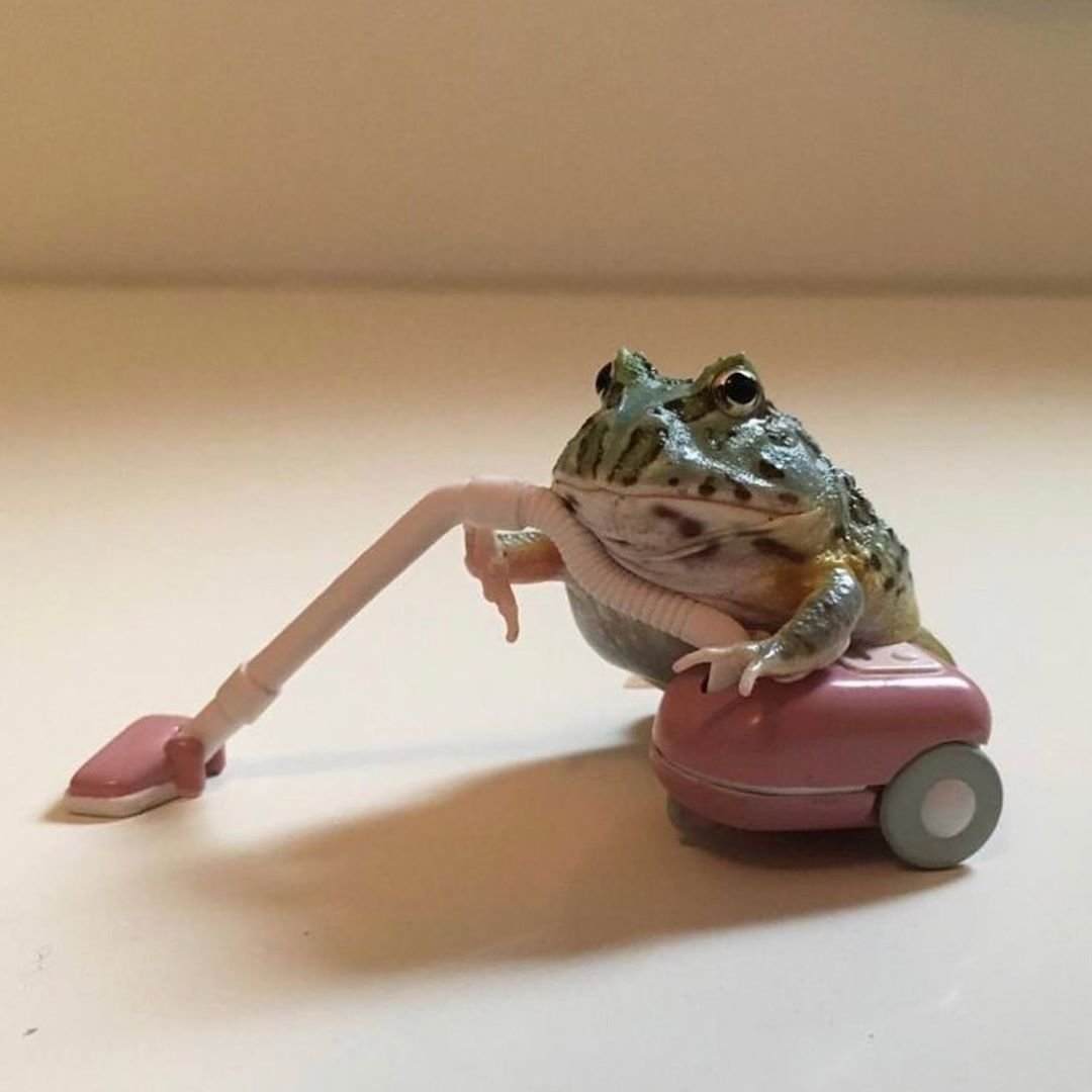 Хомяк рисунок