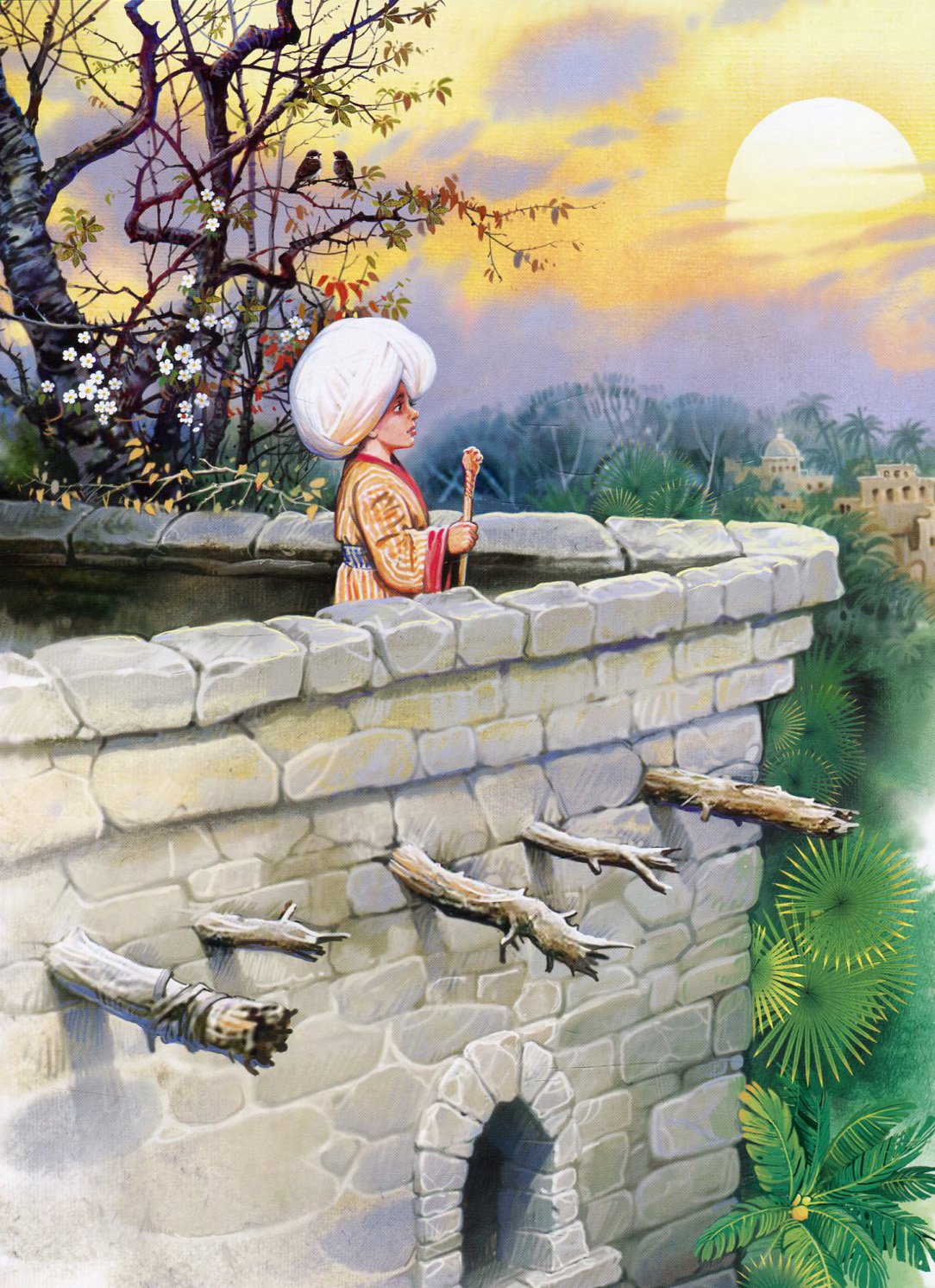 Гауф маленький МУК. Арника 1992