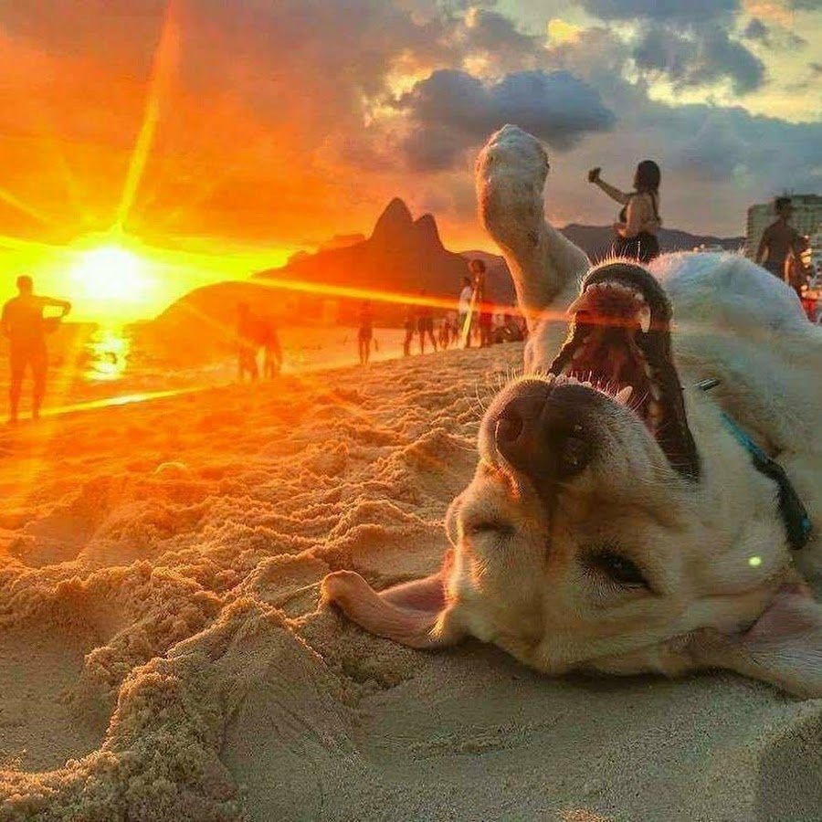 Позитивные высказывания