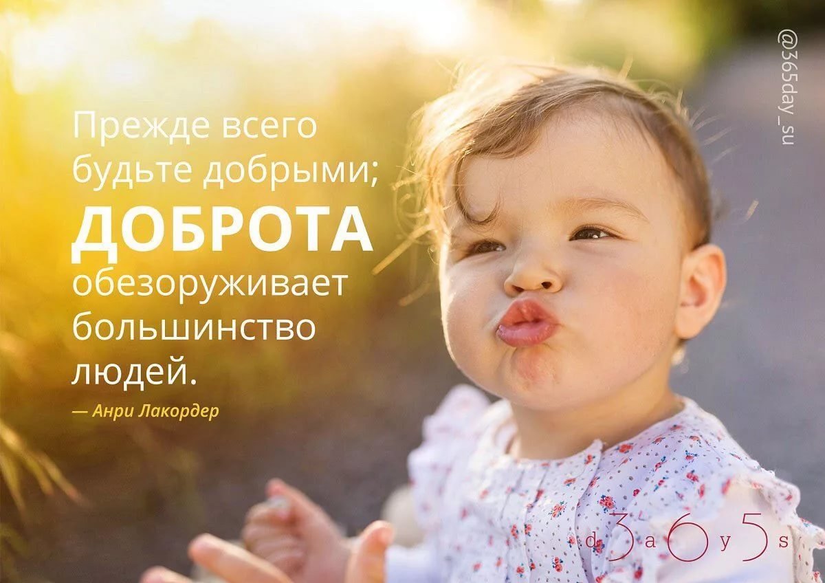 Милые домашние животные