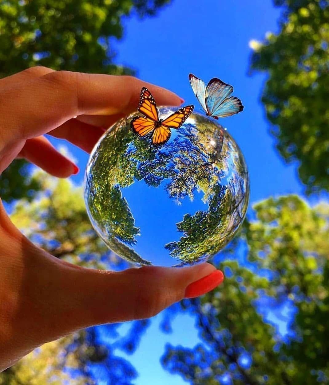 Любовь к природе