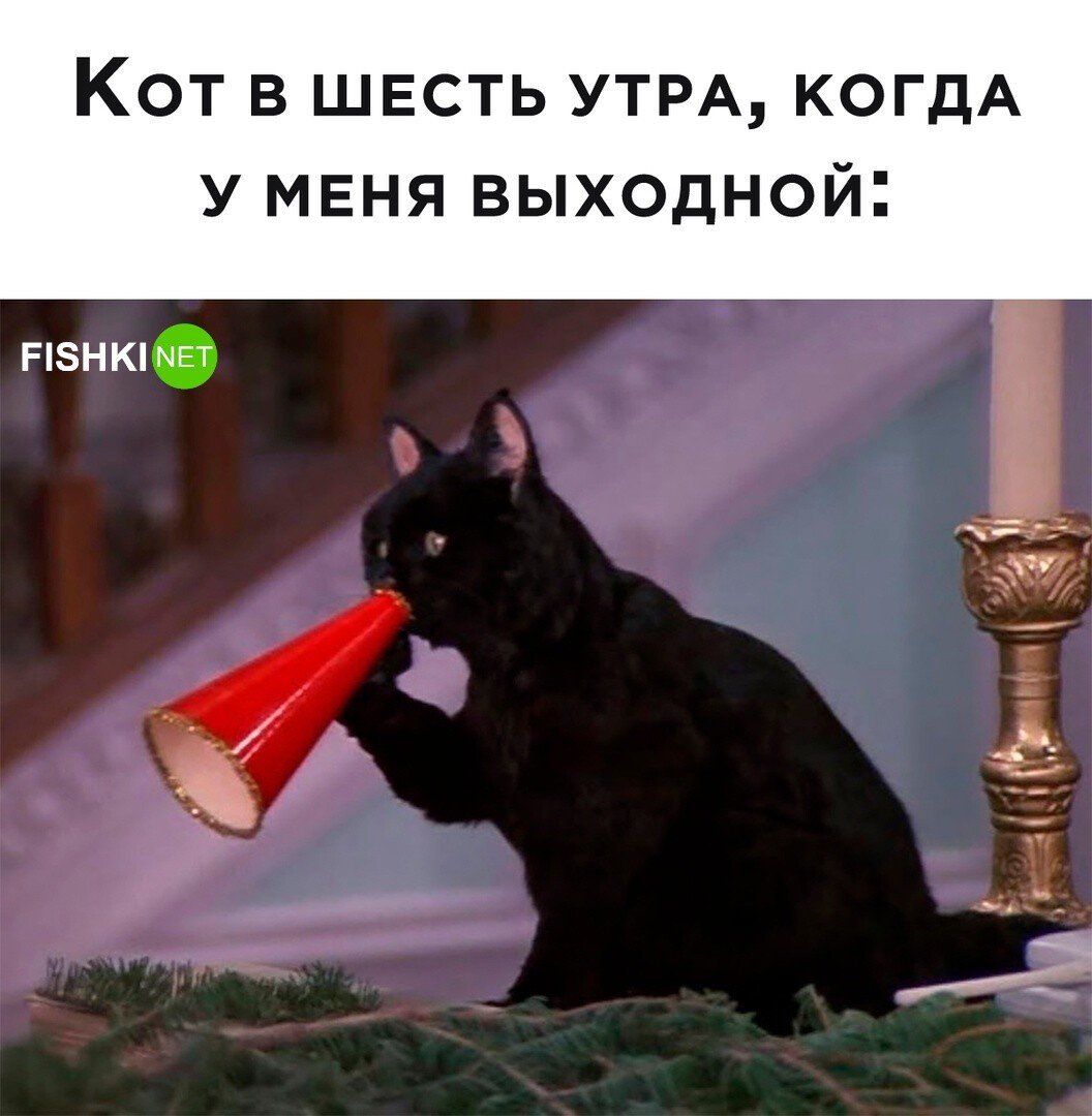 Красивые Вдохновляющие фразы