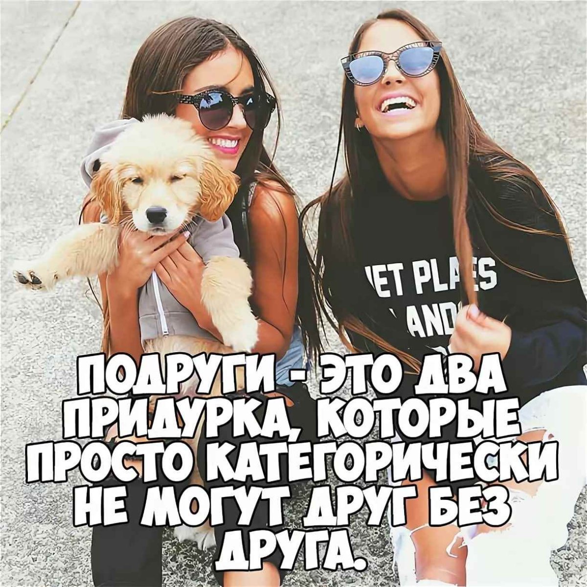 Мемы с надписями