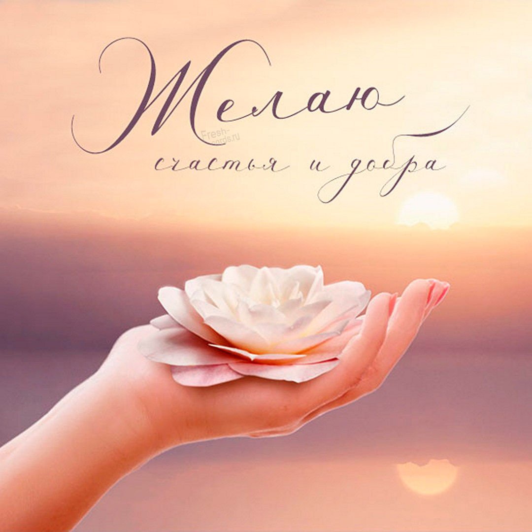 Стильные открытки с добрыми пожеланиями