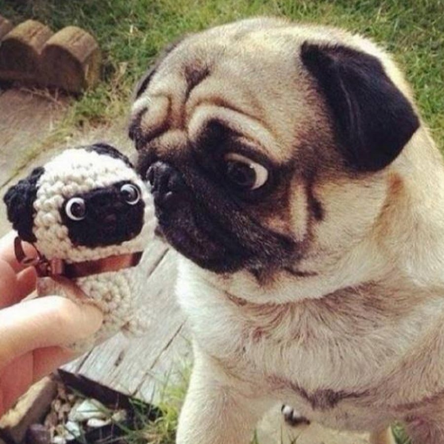 Смешные рисунки с комментариями