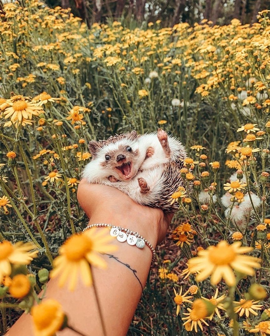 Просто позитивные картинки