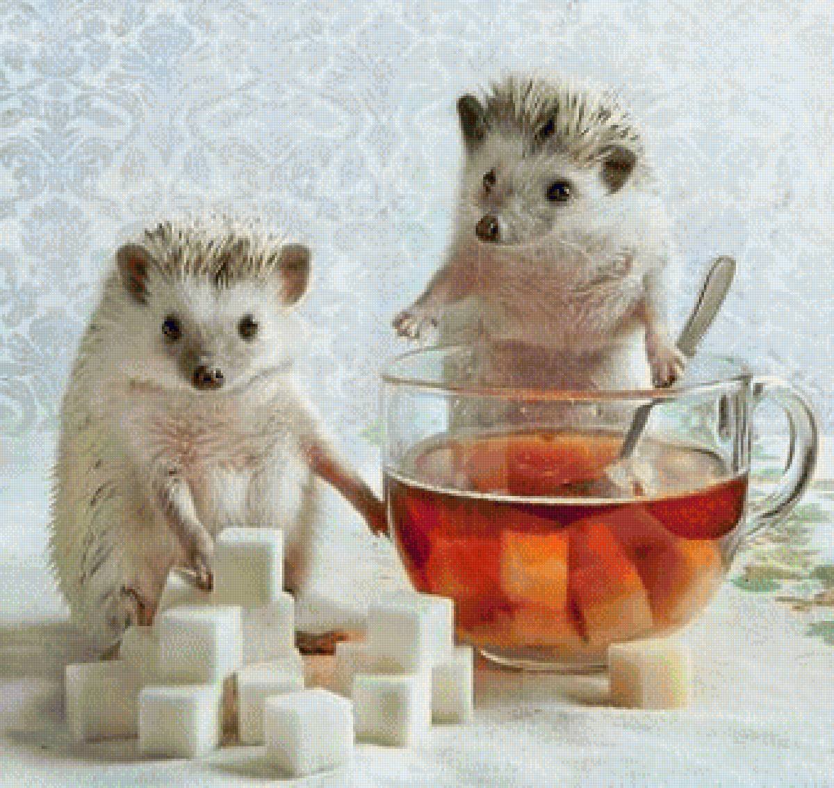 Ежик с чаем