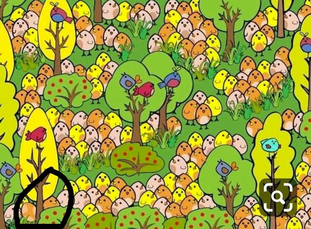 Задания отличия