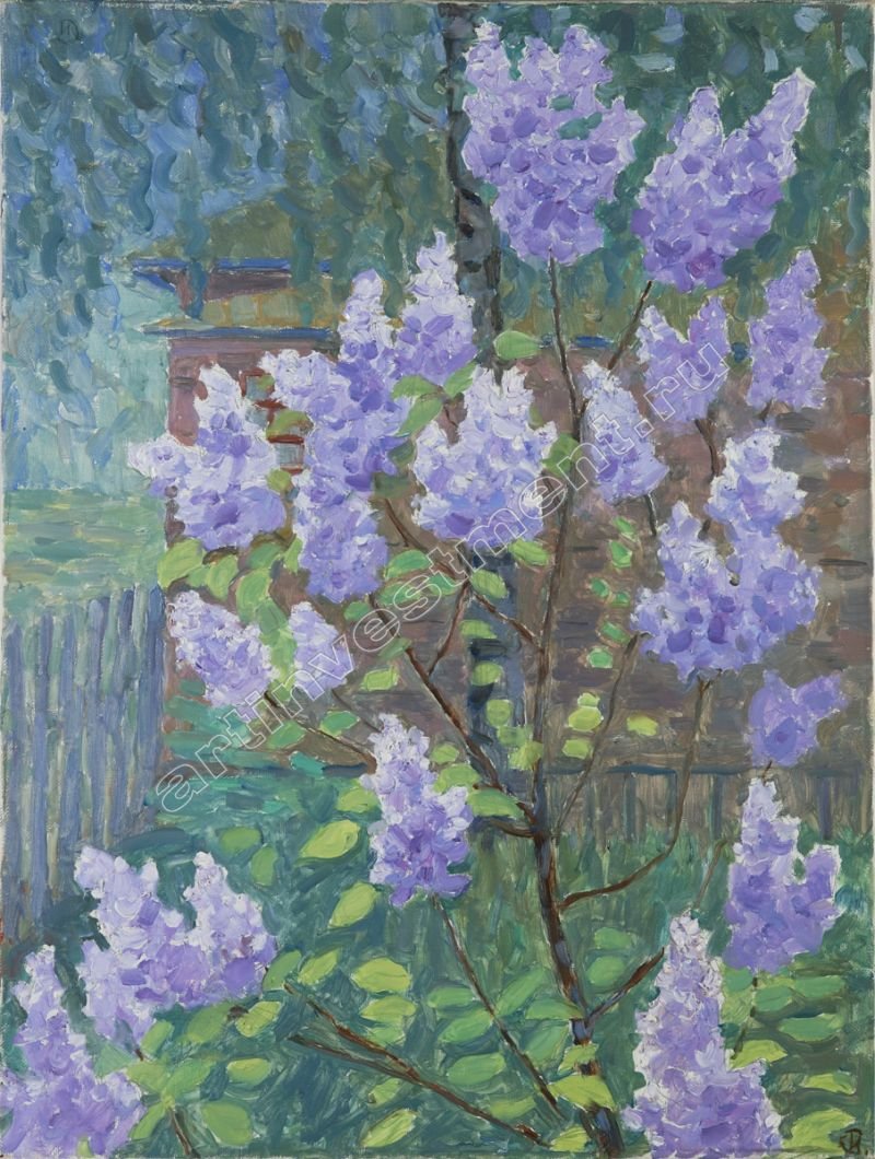 Куст сирени Этюд