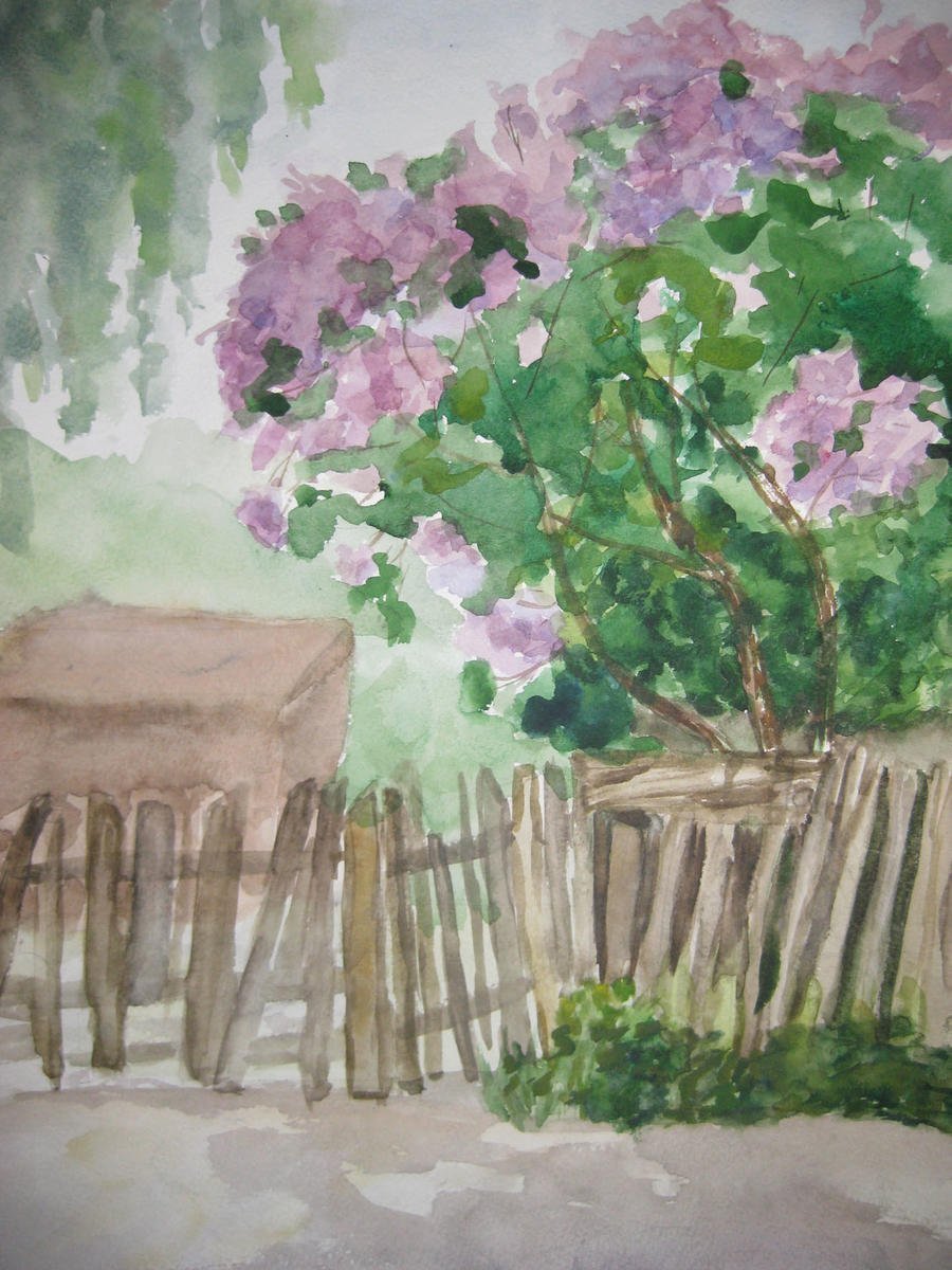 Куст сирени Монэ