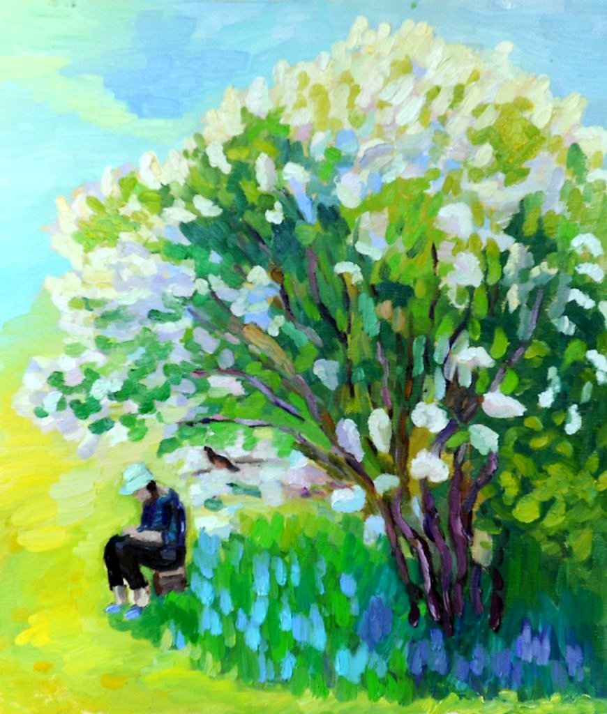 Сирень дерево