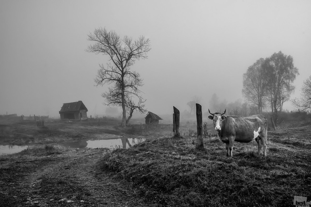 Сельская природа