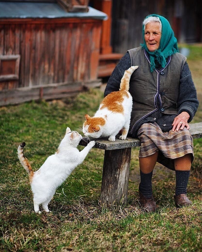 Жизнь в деревне