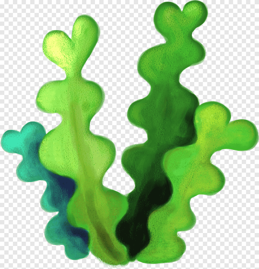 Водоросли 3д