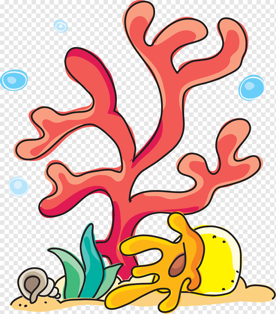 Водоросли для детей