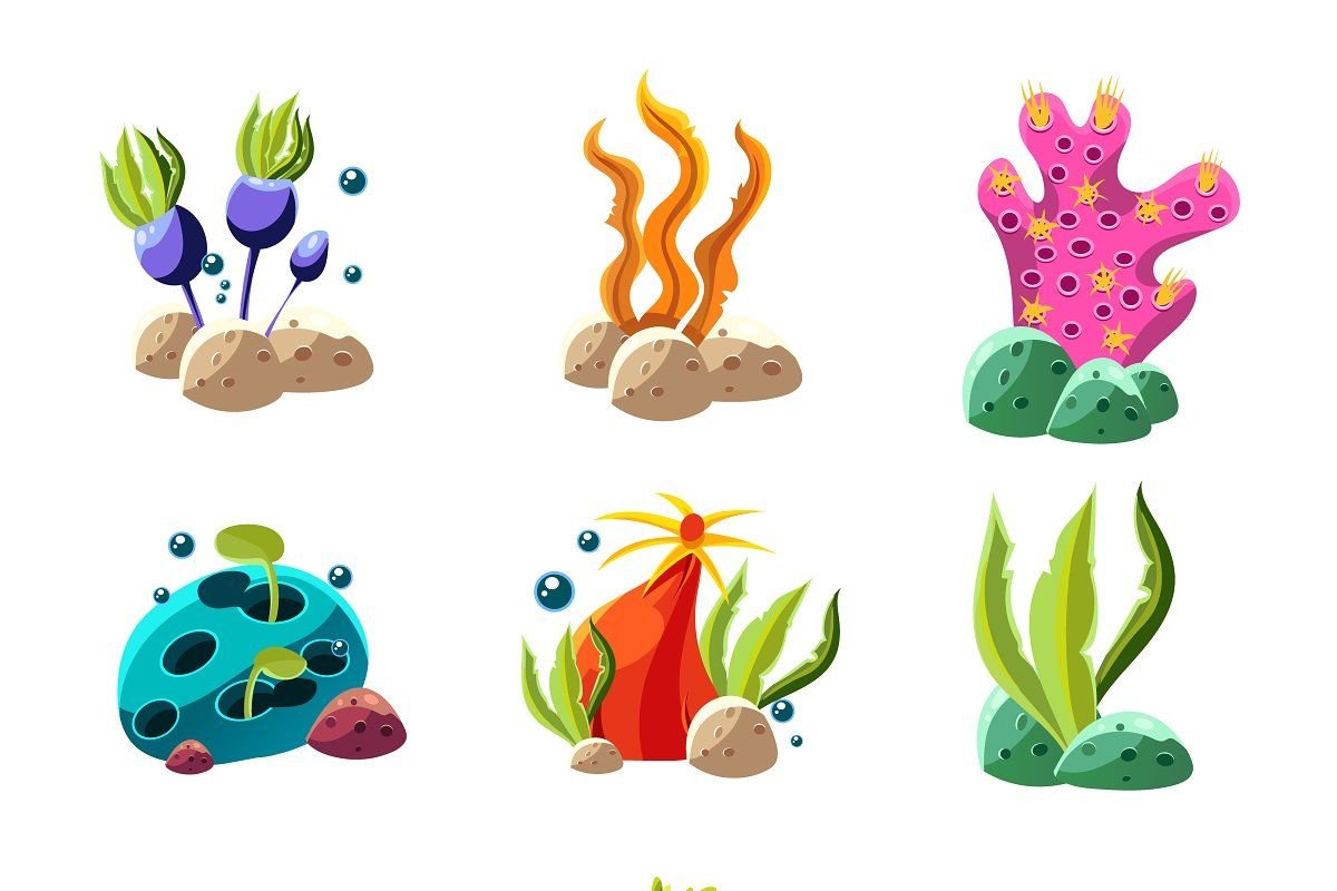 Водоросли рисунок