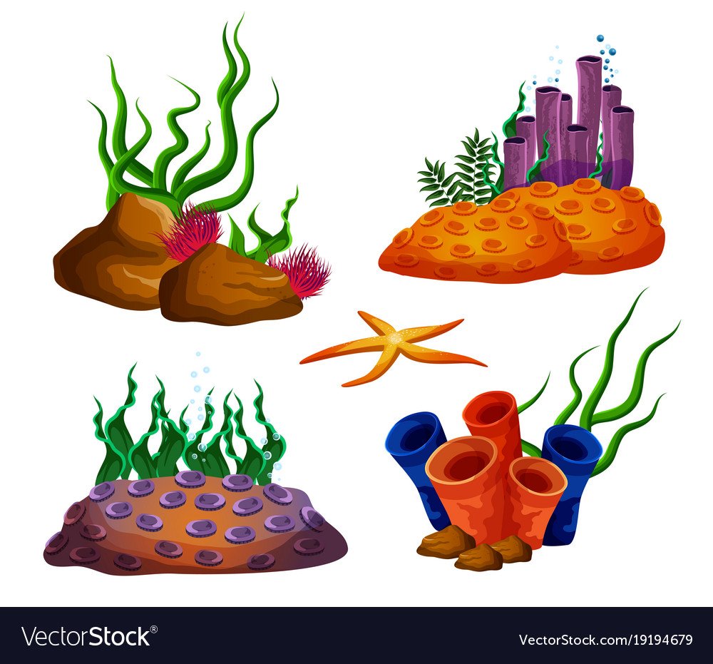 Камешки с водорослями для детей