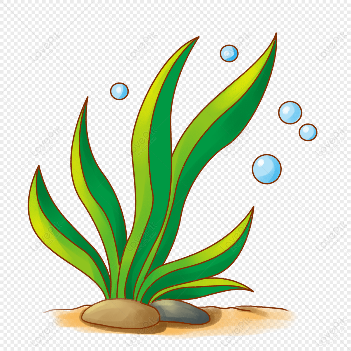 Кораллы аппликация