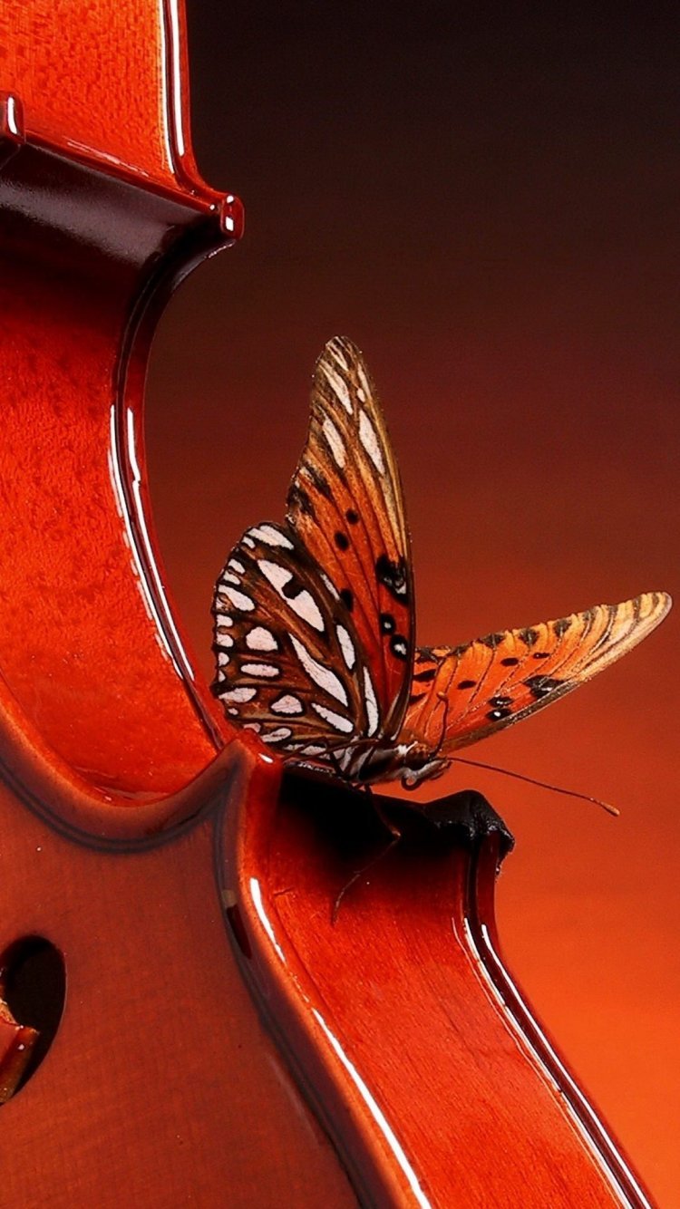 Обои на смартфон вертикальные