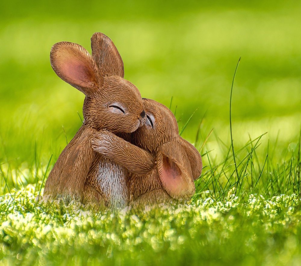 Кролик и котенок