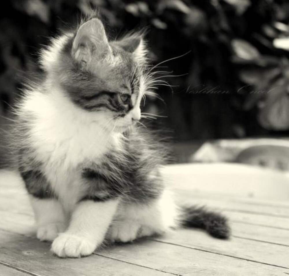 Я скучаю по тебе