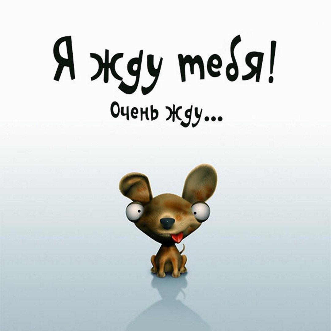 Я жду тебя