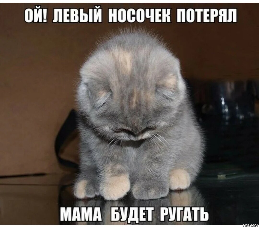 Прости погорячилась