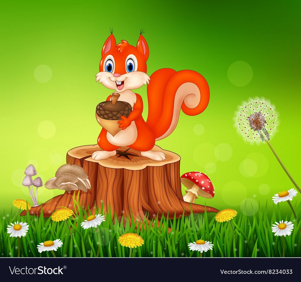 Белочка картинка мультяшная