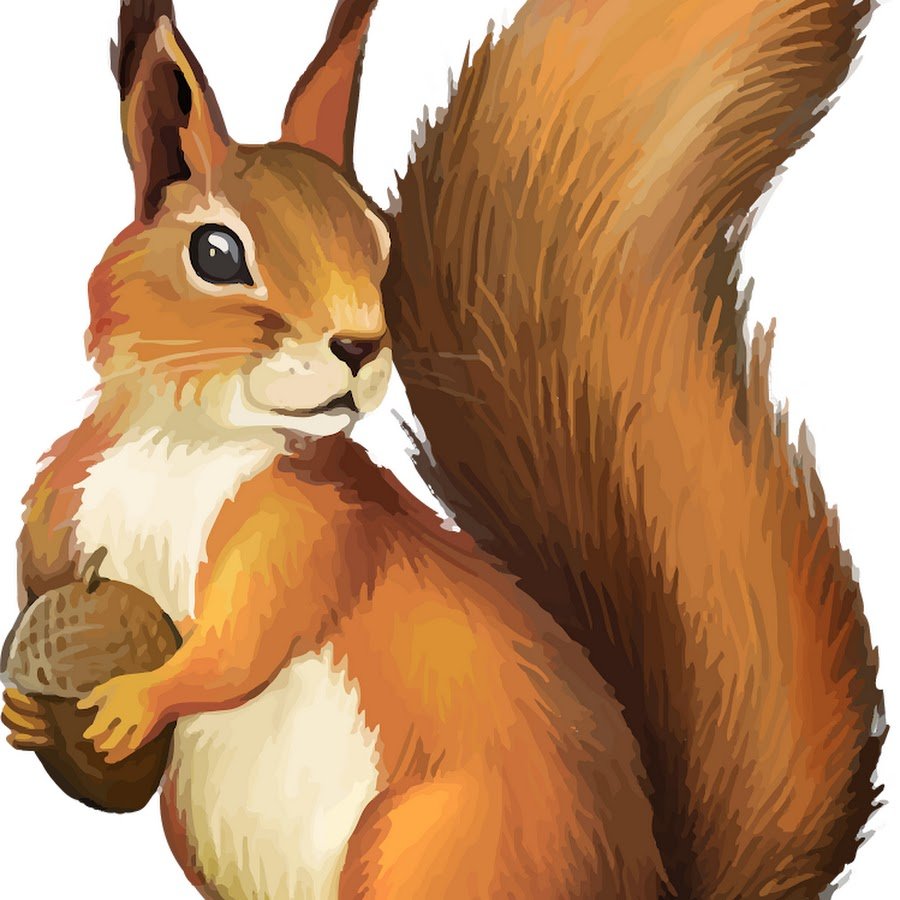 Бельчонок мультяшный