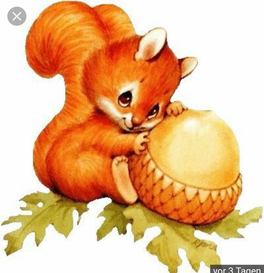 Белочка с открытым ртом для детей