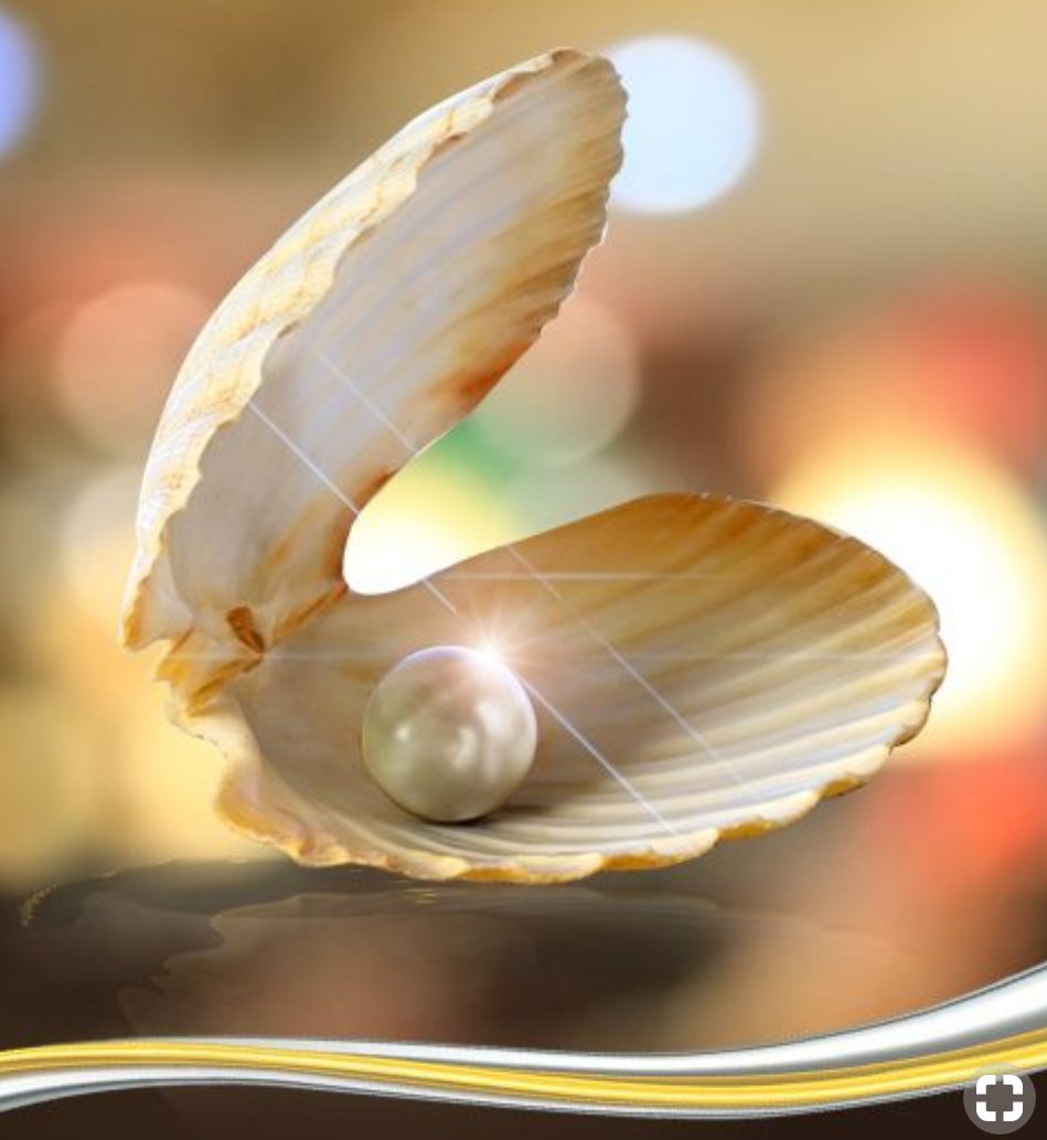 Жемчужина в раковине